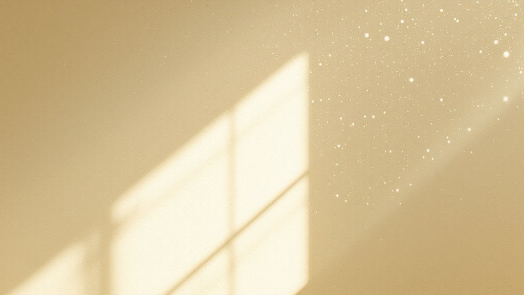 Window light on a warm wall, with fine specks drifting in the air